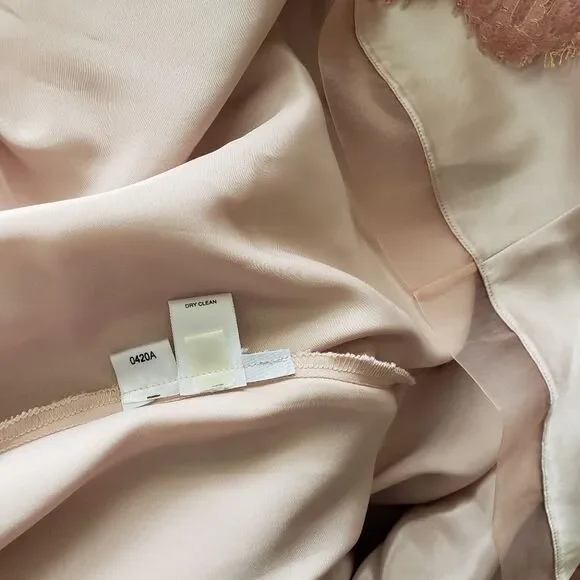 Ann Taylor Lace Metallic Ribbon Strap Dress Eyelash Lace Hem Size 6 Blush Pink - Picture 13 of 13